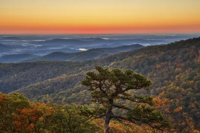Framed Print : USA, Virginia, Shenandoah National Park, Sunrise along Skyline Drive in the Fall Framed Print : USA, Virginia, Shenandoah National Park, Sunrise along Skyline Drive in the Fall