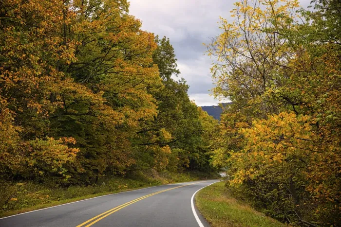 Framed Print : USA, Virginia, Shenandoah National Park, fall color along Skyline Drive