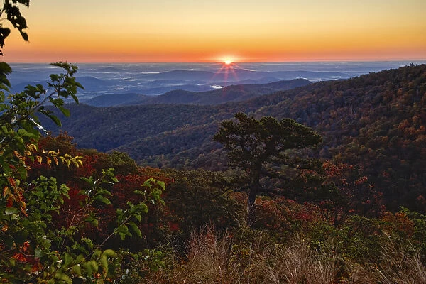 USA, Virginia, Shenandoah National Park, Sunrise along Skyline Drive in the Fall