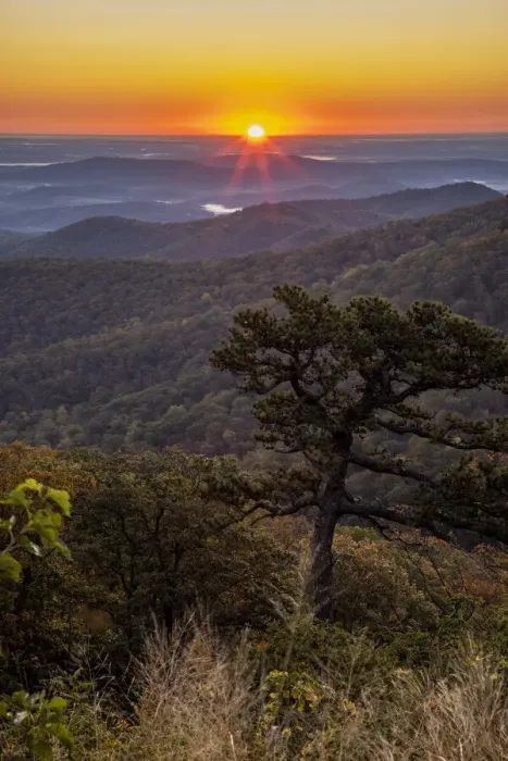 Framed Print : USA, Virginia, Shenandoah National Park, Sunrise along Skyline Drive in the Fall Framed Print : USA, Virginia, Shenandoah National Park, Sunrise along Skyline Drive in the Fall
