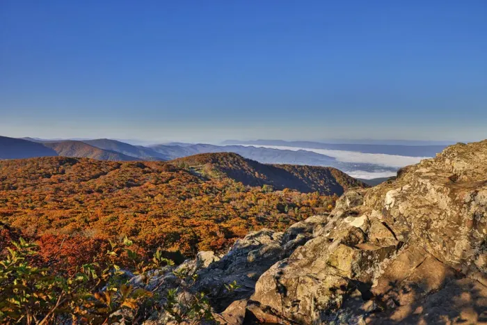 Framed Print : USA, Virginia, Shenandoah National Park, fall color in the park Framed Print : USA, Virginia, Shenandoah National Park, fall color in the park