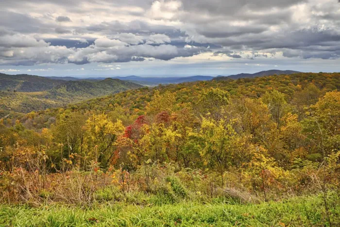 Framed Print : USA, Virginia, Shenandoah National Park, fall color Framed Print : USA, Virginia, Shenandoah National Park, fall color