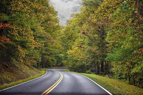 USA, Virginia, Shenandoah National Park, fall color along Skyline Drive