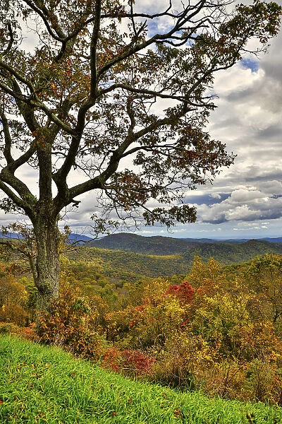 USA, Virginia, Shenandoah National Park, fall color