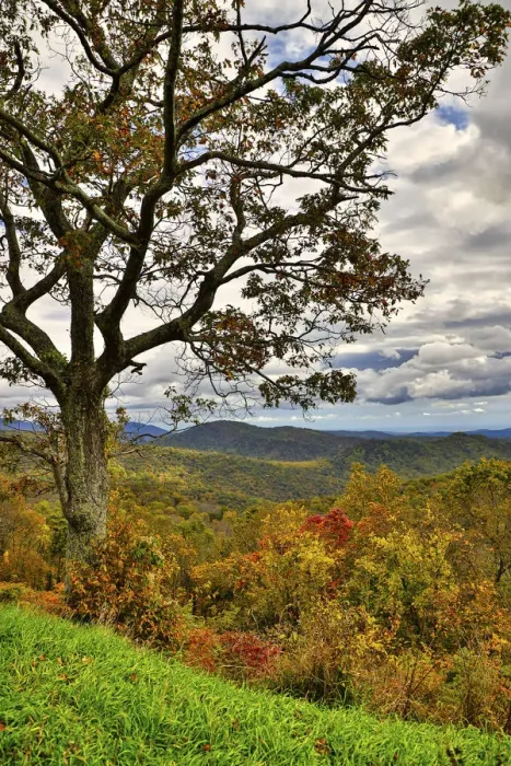Framed Print : USA, Virginia, Shenandoah National Park, fall color