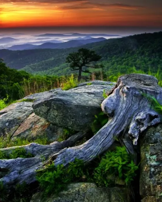 Framed Print : USA, Virginia, Shenandoah National Park. Sunrise view of park from Skyline Drive