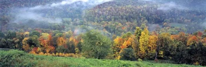 Framed Print : USA, Virginia, Shenandoah NP. Skyline Drive looks over the vast, autumn-speckled Framed Print : USA, Virginia, Shenandoah NP. Skyline Drive looks over the vast, autumn-speckled