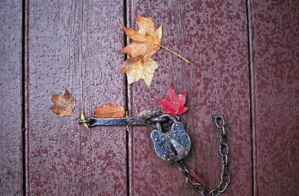 USA, Virginia, Williamburg. Colorful fall leaves collect near an old lock on an aged
