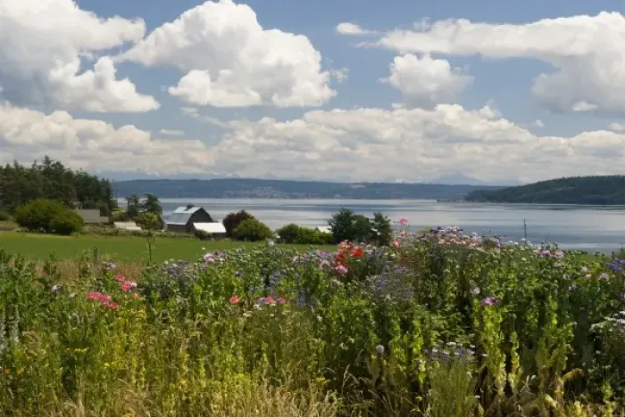 Framed Print : USA, WA, Island County, Whidbey Island. Spectacular spring day Penn Cove with view to Camano Island Framed Print : USA, WA, Island County, Whidbey Island. Spectacular spring day Penn Cove with view to Camano Island