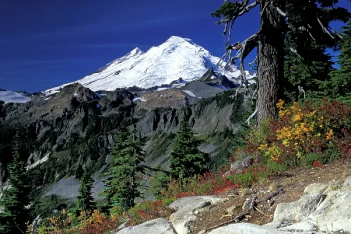 Framed Print : USA, WA, Mt Baker Recreation Area. Mt Baker from Artists Point with fall color Framed Print : USA, WA, Mt Baker Recreation Area. Mt Baker from Artists Point with fall color
