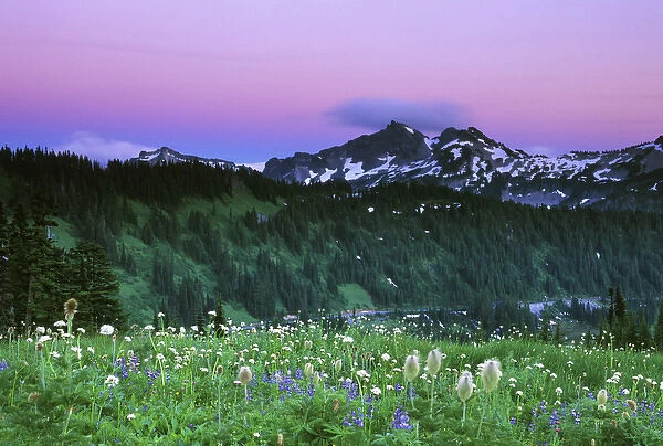 USA, WA, Mt. Rainier NP, Paradise Twilight
