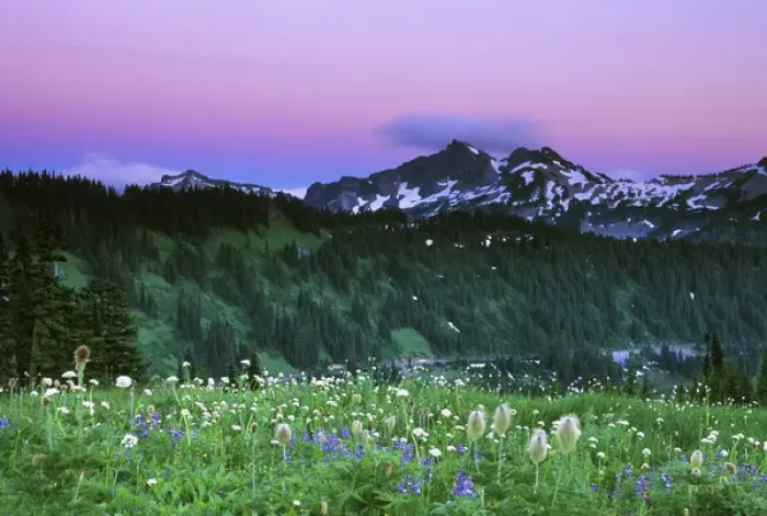 Framed Print : USA, WA, Mt. Rainier NP, Paradise Twilight Framed Print : USA, WA, Mt. Rainier NP, Paradise Twilight