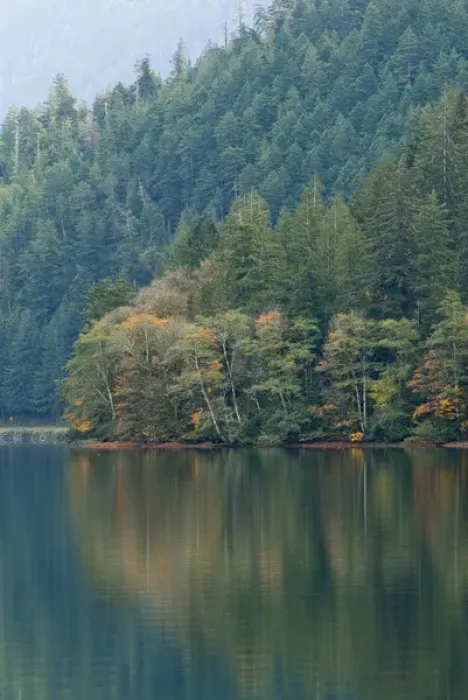 Framed Print : USA, WA. Olympic National Park, Lake Crescent. Serene glassy calm in glacier carved lake