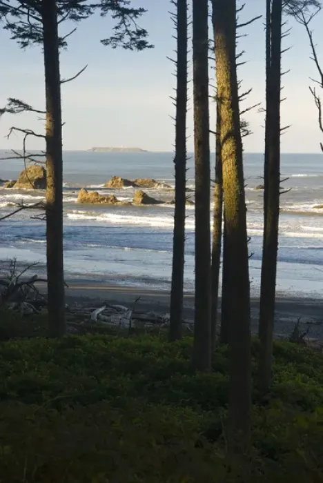 Framed Print : USA, WA, Olympic National Park. Destructin Island Lighthouse from Ruby Beach trail Framed Print : USA, WA, Olympic National Park. Destructin Island Lighthouse from Ruby Beach trail