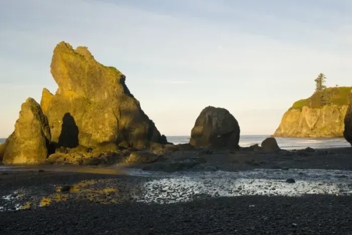 Framed Print : USA, WA, Olympic National Park. Sea stacks on Ruby Beach early morning with full