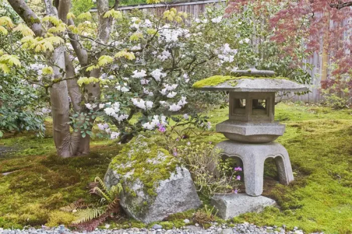 Framed Print : USA, WA, Seattle, Arboretum, Japanese Garden