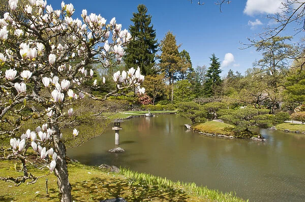 USA, WA, Seattle. Japanese Gardens part of Washington Park Arboretum managed by City