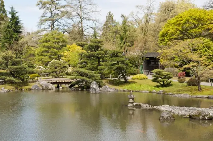 Framed Print : USA, WA, Seattle. Japanese Gardens part of Washington Park Arboretum managed by City Framed Print : USA, WA, Seattle. Japanese Gardens part of Washington Park Arboretum managed by City