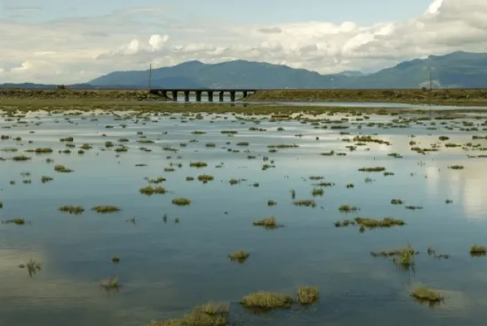 Framed Print : USA, WA, Skagit County, Anacortes. Tidal flats reflect clouds and sky Framed Print : USA, WA, Skagit County, Anacortes. Tidal flats reflect clouds and sky