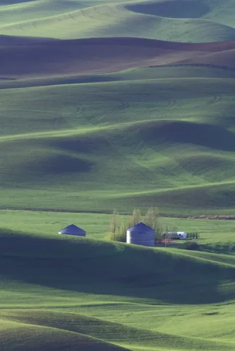 Framed Print : USA, WA, Steptoe Butte State Park Framed Print : USA, WA, Steptoe Butte State Park