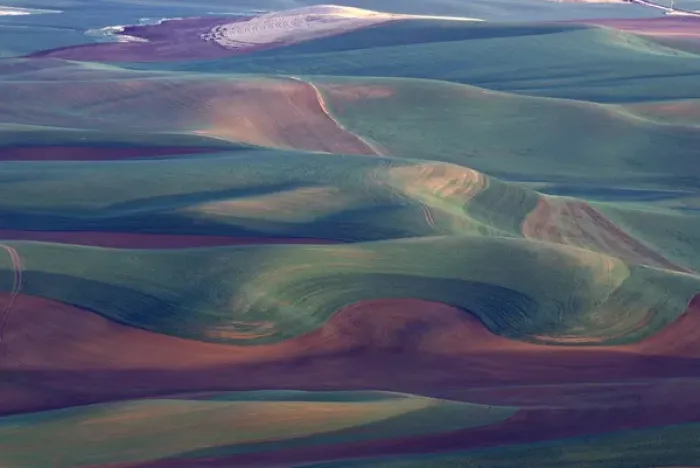 Framed Print : USA, WA, Steptoe Butte State Park