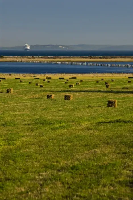 Framed Print : USA, WA, Whidbey Island. Straw bales, Crockett Lake, Admiralty Inlet with passenger Framed Print : USA, WA, Whidbey Island. Straw bales, Crockett Lake, Admiralty Inlet with passenger