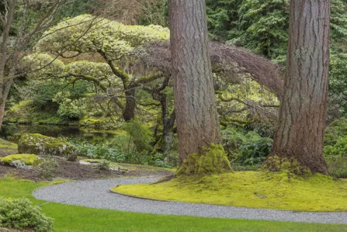 Framed Print : USA, Washington, Bainbridge Island. Japanese Garden in The Bloedel Reserve. Credit as Framed Print : USA, Washington, Bainbridge Island. Japanese Garden in The Bloedel Reserve. Credit as