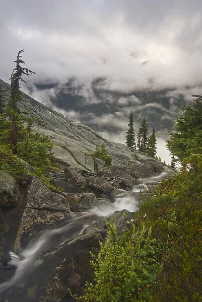 USA, Washington, Cascade Mountains. Alpine scenery at Robin Lakes in the Alpine