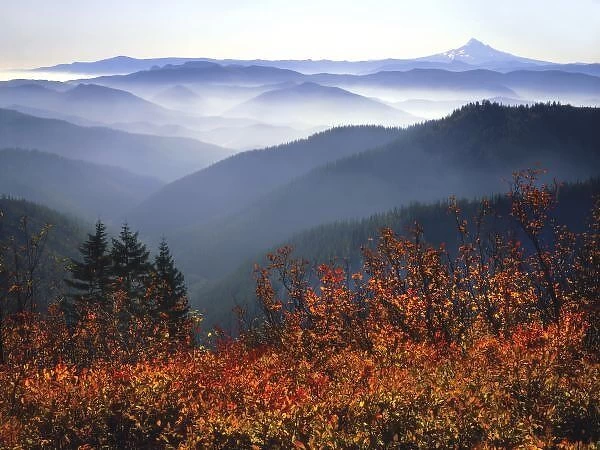 USA, Washington, Columbia River Gorge National Scenic Area, View of Mount Hood with