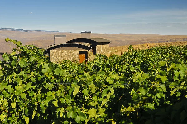 USA, Washington, Columbia Valley. Cave B Estate Winery is an award-winning boutique
