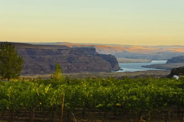 Framed Print : USA, Washington, Columbia Valley. Dawn on the Cave B Estate Winery, an award-winning Framed Print : USA, Washington, Columbia Valley. Dawn on the Cave B Estate Winery, an award-winning