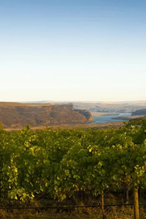 Framed Print : USA, Washington, Columbia Valley. Dawn on the Cave B Estate Winery, an award-winning