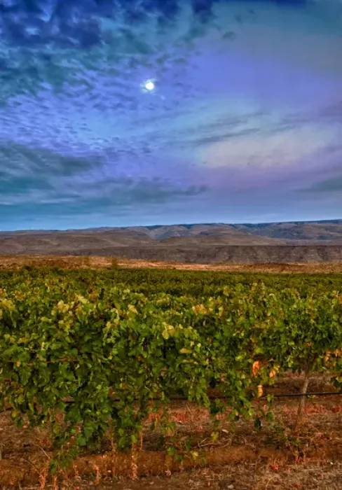 Framed Print : USA, Washington, Columbia Valley. Moon over the Cave B Estate Winery, an award-winning Framed Print : USA, Washington, Columbia Valley. Moon over the Cave B Estate Winery, an award-winning
