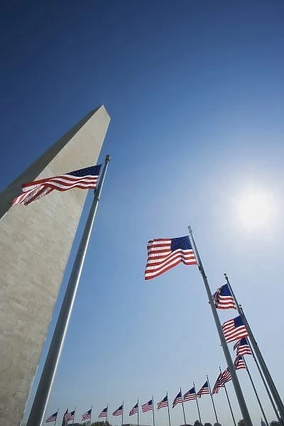 USA, Washington, D. C. American flags surround the Washington Monument