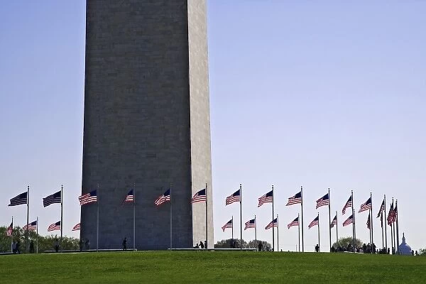 USA, Washington, D. C. Fifty American flags surround the Washington Monument