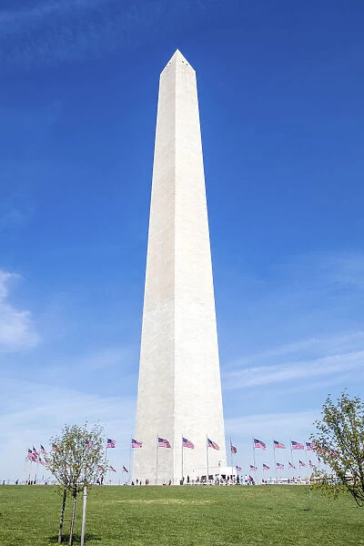 USA, Washington, DC, Flags Waving Around the Washington Monument