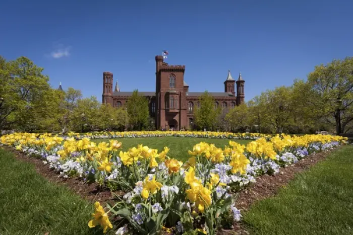 Framed Print : USA, Washington, DC. Haupt Garden outside the Smithsonian Institution Castle Framed Print : USA, Washington, DC. Haupt Garden outside the Smithsonian Institution Castle