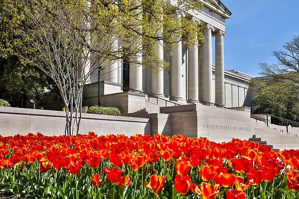 USA, Washington, DC, National Gallery of Art West Building in Springtime