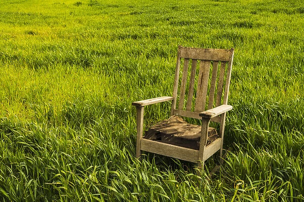 USA, Washington, field, rocking chair