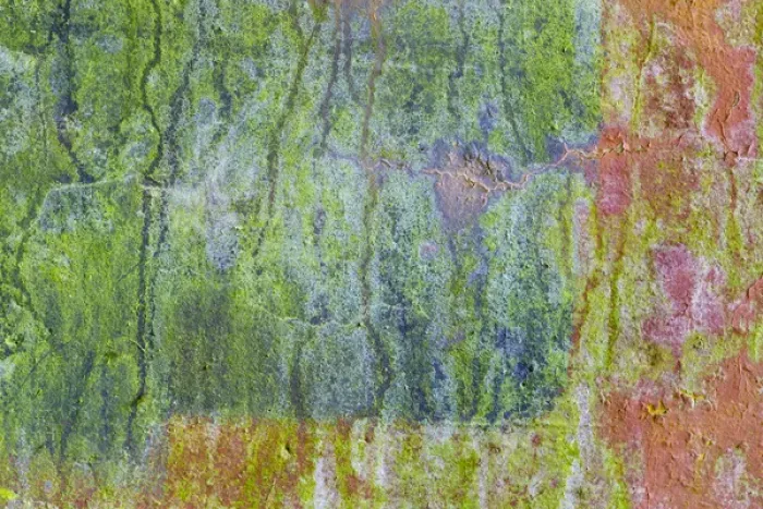 Framed Print : USA, Washington, Fort Hayden. Abstract details of painted wall