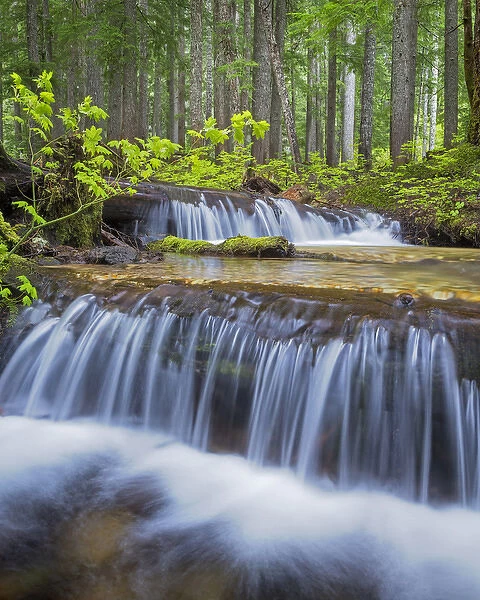 USA, Washington, Gifford Pinchot National Forest. Waterfall and forest scenic. Credit as