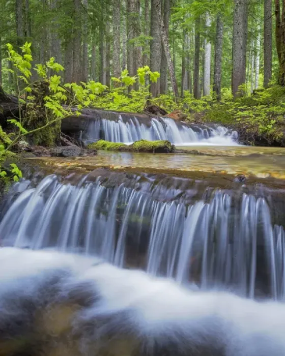 Framed Print : USA, Washington, Gifford Pinchot National Forest. Waterfall and forest scenic. Credit as