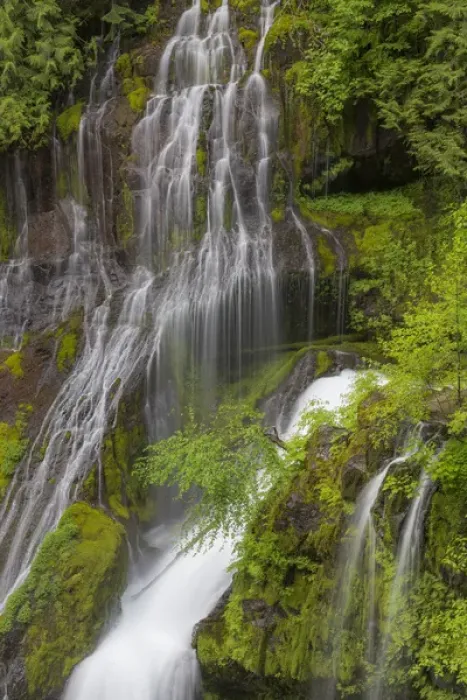 Framed Print : USA, Washington, Gifford Pinchot National Forest. Spring scenic of Panther Creek Waterfall Framed Print : USA, Washington, Gifford Pinchot National Forest. Spring scenic of Panther Creek Waterfall