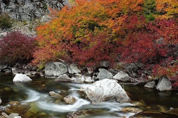 USA, Washington, Hwy 2. Fall along the Nason Creek in the North Cascades
