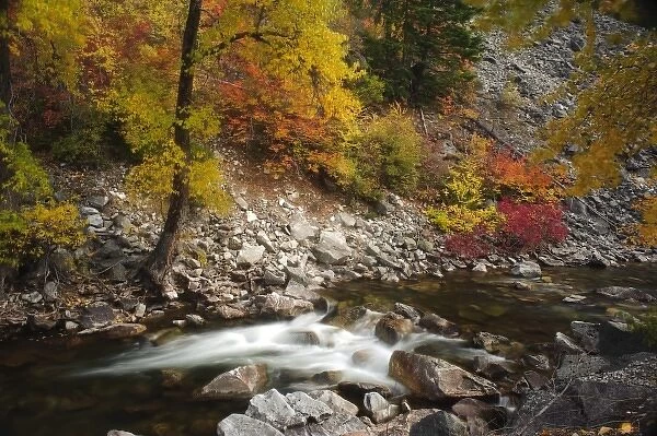 USA, Washington, Hwy 2. Fall along the Nason Creek in the North Cascades