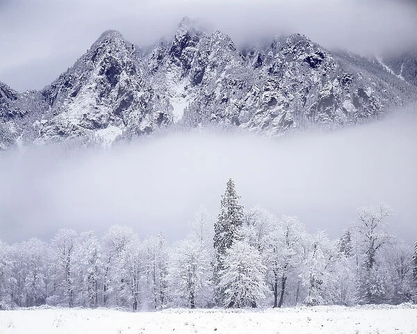 USA, Washington, King County, Mt. Si after snowfall, Cascade Range