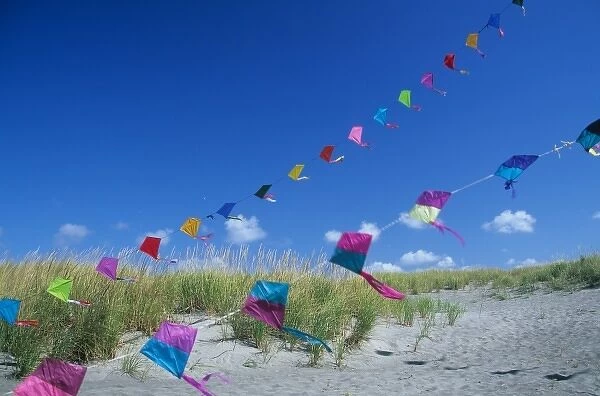 USA, Washington, Long Beach. Kites on the beach