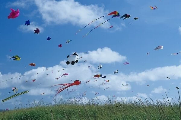USA, Washington, Long Beach. Kites on the beach, Washington State kite festival