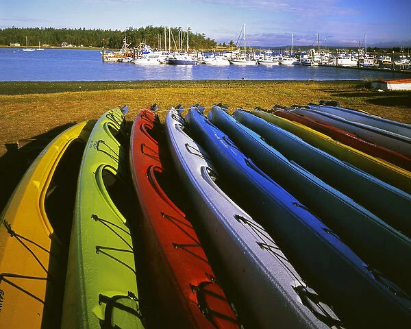 USA, Washington, Lopez Island, Fisherman Bay, Sea Kayaks