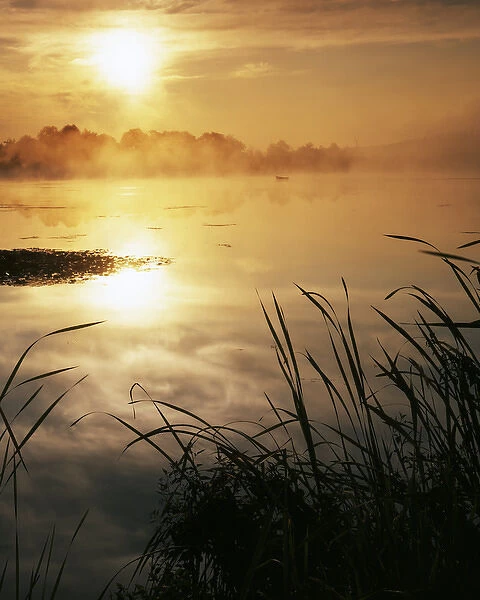 USA, Washington, Lopez Island, Morning fog on Hummel Lake